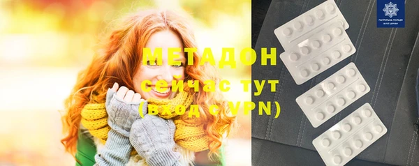 гашик Алексин