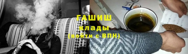 гашик Алексин