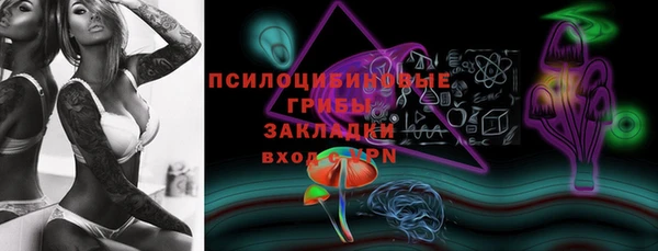 гашик Алексин