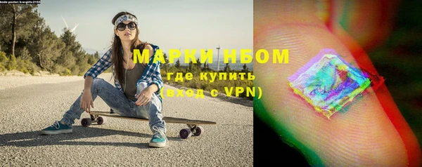 гашик Алексин