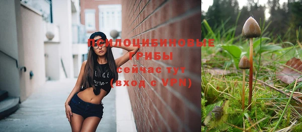 тгк Алзамай