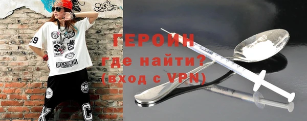 гашик Алексин