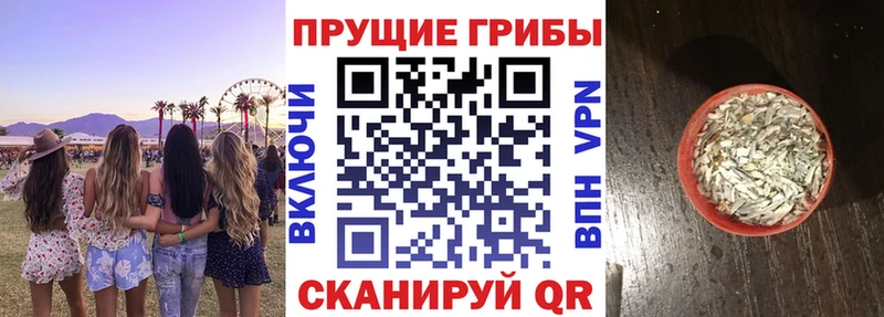 цена наркотик Наволоки Галлюциногенные грибы Magic Shrooms