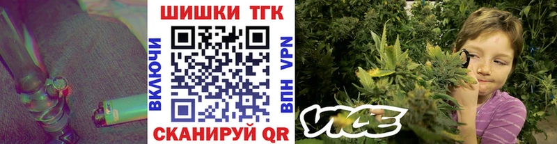 Конопля марихуана  kraken вход  Наволоки  наркота 